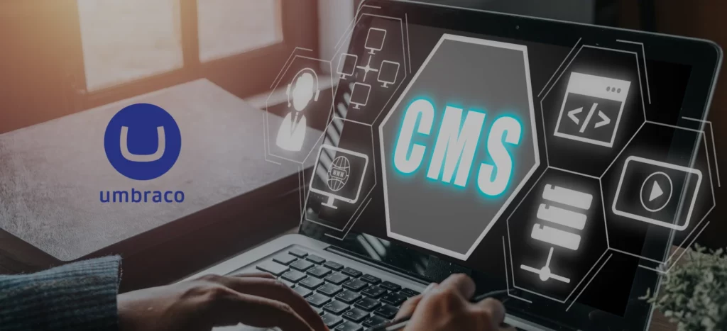 How an Umbraco Partner in Sydney Supports Long-Term CMS Maintenance and Security