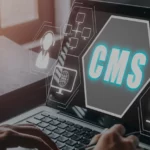 How an Umbraco Partner in Sydney Supports Long-Term CMS Maintenance and Security