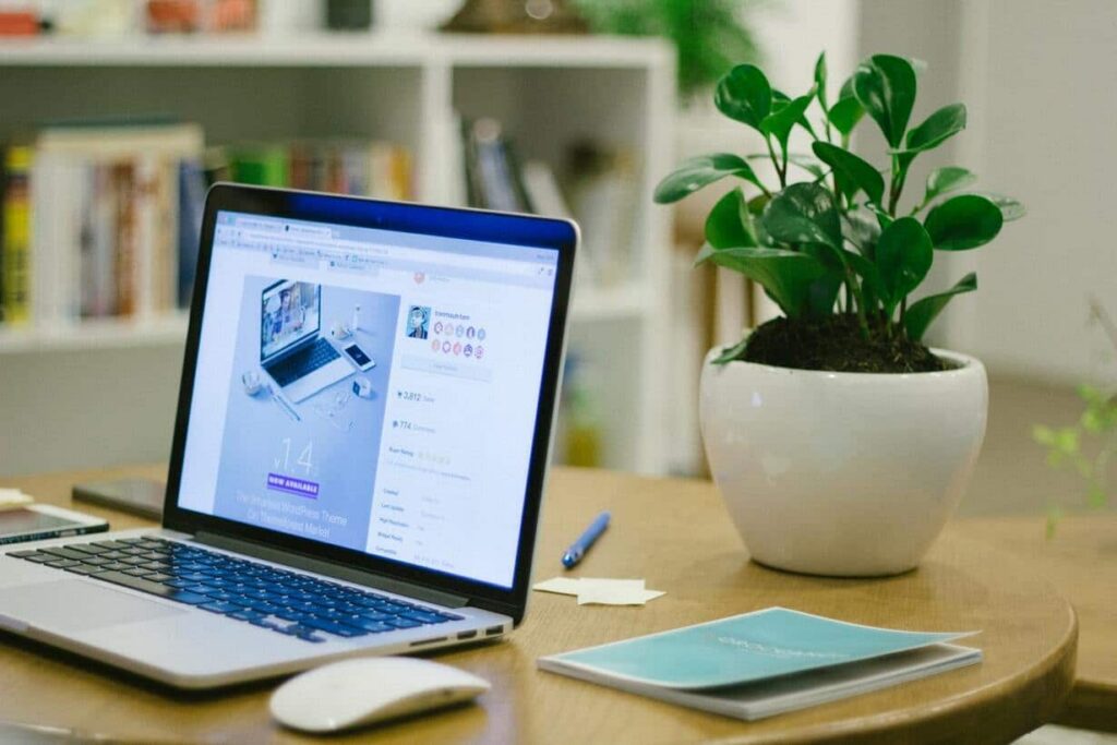Umbraco Developer Sydney